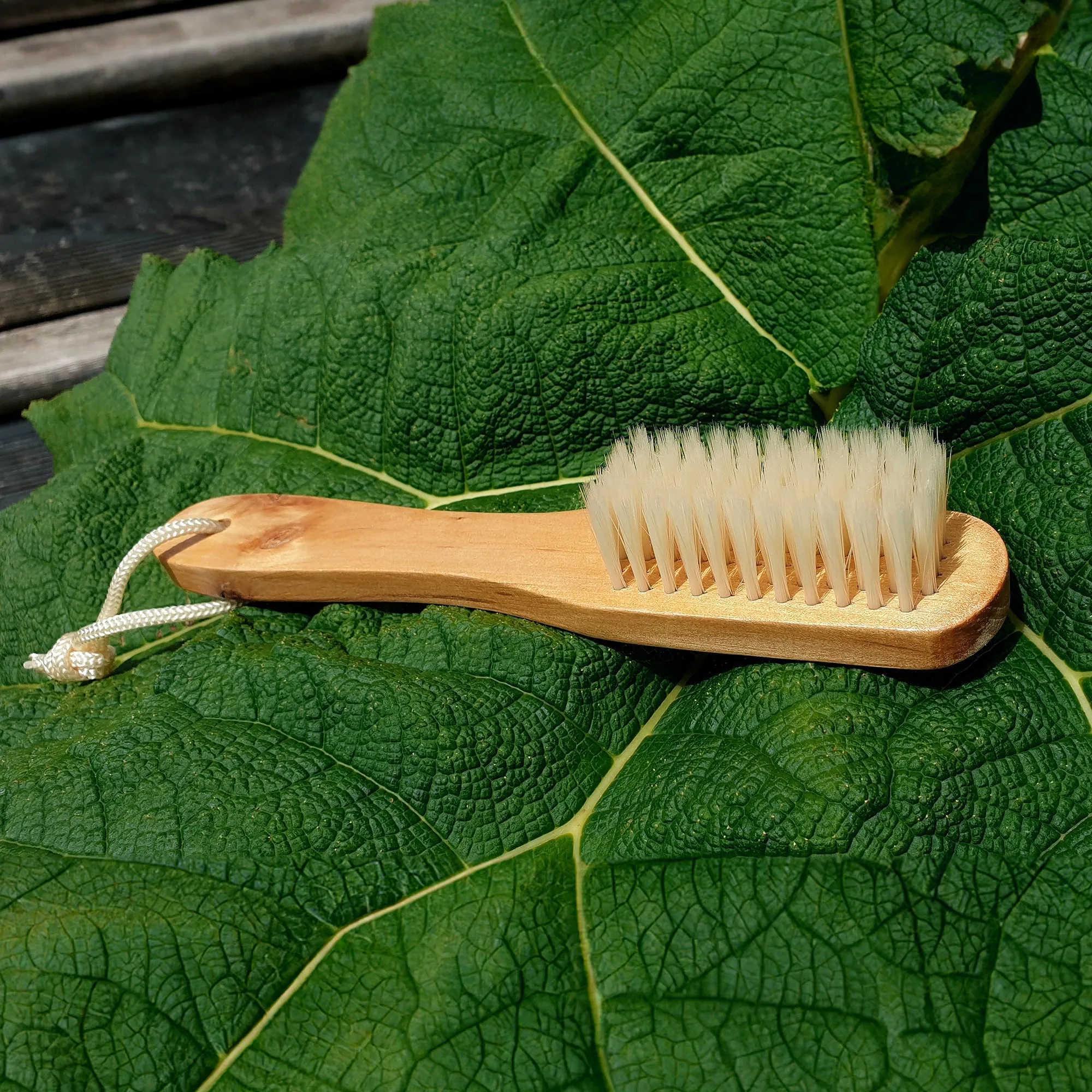 Cleaning Brush